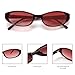 GUVIVI Retro Oval Sunglasses for Women 2026 90s Small Chic Cat Eye Sun Glasses Sunnies Lightweight Shades