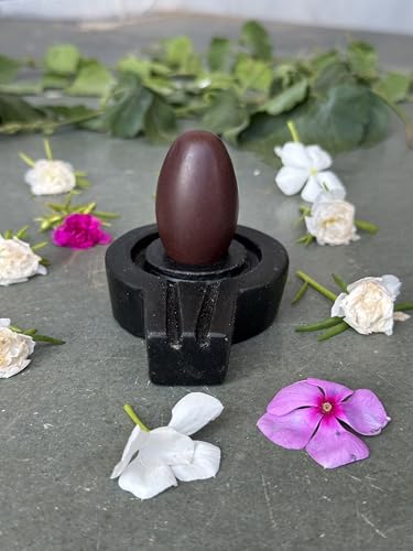 Image of Shivam VASTU AKAL 1.5 inch Original Narmadeshwar Narmada Shivling with 3 inch Narmada Stone Yoni Base Jaladhari (Swayambhu Shivling, Black Flate Jaladhari)