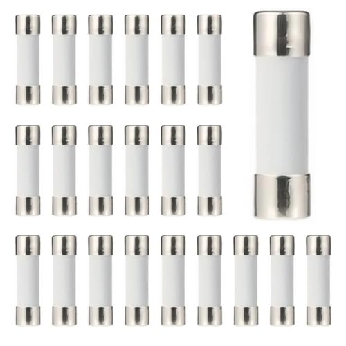 Fusibles en céramique 20A 5x20 indispensables pour réparer vos appareils de cuisine