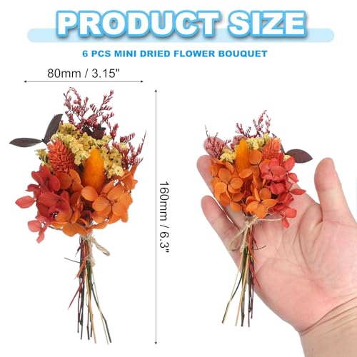 Ramo Mini Flores Secas NATURAL 6 pcs Naranja Rojo miniatura 2