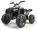 FEBER- Quad Boxer, Vehículo eléctrico a batería, 12 V, Verde (Famosa 800012541)