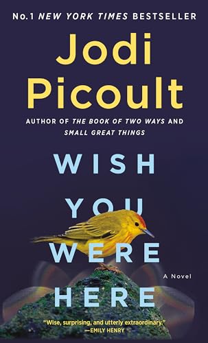 Wish you were here 0593598644 Book Cover