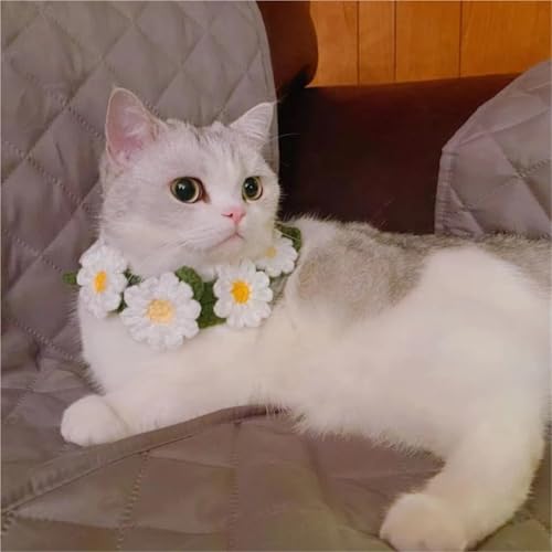 Collares para mascotas tejidos a mano con margaritas para fotos de gatos 7