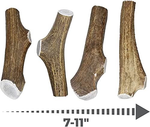 Best Dog Chews Elk Antlers For Dogs - Made In Usa - Antler Chews For Aggressive Chewers - Long Lasting - Premium Grade A And Hand Selected Breeds Of Dogs (Xl Split 70-100Lbs) #TOP2