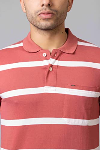 Image of PRORIDERS Half Sleeve Cotton Blend Fabric Collared Regular Fit Men's Polo Striper Tshirt with Pocket for Casual wear