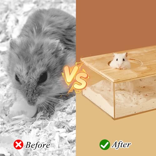 Haustier Hamster Badezimmer, Hamster Sandbad mit Leiter und Schaufel, Hamster-Sandbad-Container Hamster Zubehör Transparent Acryl Dusch für Goldhamster Zwerghamster Mäuse oder Kleine Haustiere