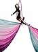 DASKING Aerial Silks Kit for Beginners & Pros - 10Yd Durable Fabric, Pro Safety Hardware & Easy Setup Guide - Yoga Hammock, Swing, Silk Rigging Kit (Multicolor-G)