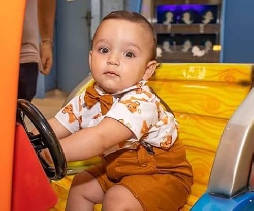 Rei Leão Kit Roupa Conjunto Infantil Menino 4 Peças Camisa Gravata Bermuda e Suspensório Aniversário