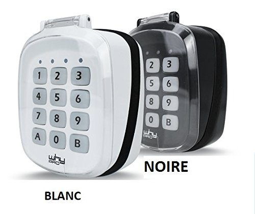 GT Diffusion - boitier Clavier numerique Radio sans Fil Universel Why Evo Pro - Multi fréquence de 280 à 868 MHz pour Code Fixe et Rolling Code - pour Portail Porte de Garage remplace la telecommande