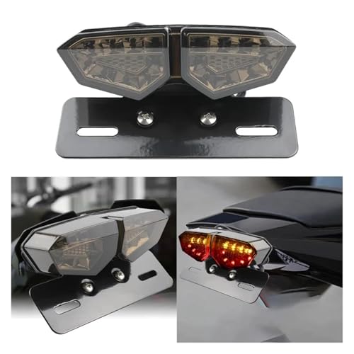 Accesorios de luces LED traseras de 12V con freno e intermitentes 5