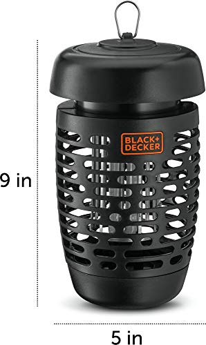 https://m.media-amazon.com/images/I/41ZUrY2bccL.jpg