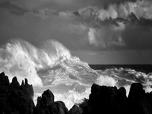 Dennis Frates (Oceans Rage 60 x 80cm Canvas