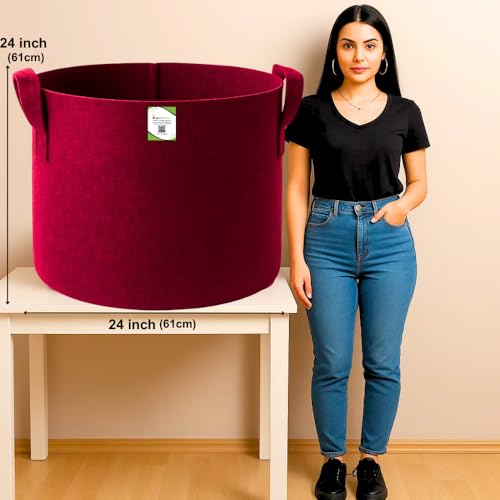 Image of ORGANIC BAZAR 24x24 Very Big Size Tree Grow Bag for Fruit Plants, Premium Geo Fabric 450 GSM Geo Fabric Large Plant Bags | (Pack of 1)