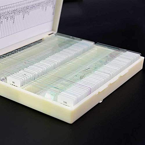 100PCS Professionale Slice Vetro Vetrini for microscopio educativo Esemplare Umano Tessuto sezioni con Scatola di plastica