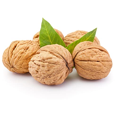Walnuss mit Schale (2 Kg) /Neue Ernte 2022 / Walnuss in der Schale von Bauern/ Walnuss Ganz Roh Und Unverarbeitet/Vegan Glutenfrei 100% Natur Ganz Walnuss Cover