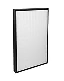 ENVION Allergy Pro True HEPA 0.3 Micron 12 Month Germ, Particle, Odors, Pet Hair, Dander, and...