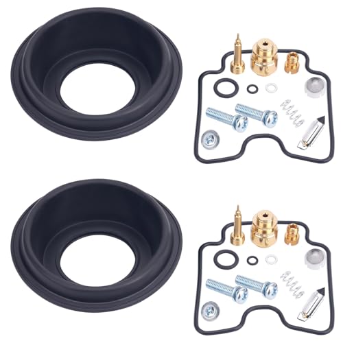Kit de reparación de carburador AHL para Suzuki GS500F 2004-2009 kit de 2 piezas 2