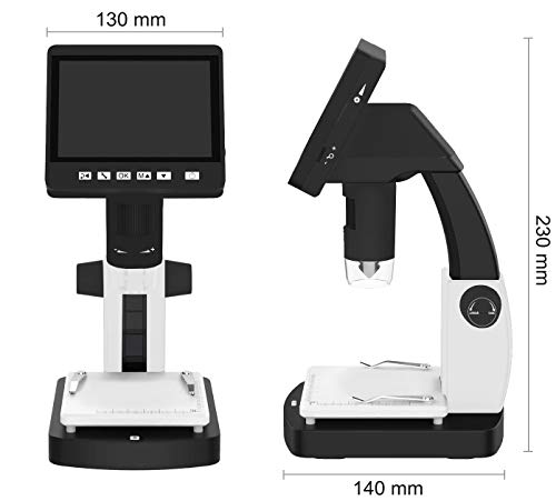 Microscope numérique SAFE pour examiner vos collections de monnaies chez vous