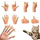 JEYORZY 8 Stück mini hände Fingerpuppen,kleine Hände,tiny Hands,Hände Fingerpuppe Set, Gummi Fingerpuppen,Linke und Rechte Hand，Finger Puppets Streichspielzeug für Haustier,Katzen, Kinder Spielzeug