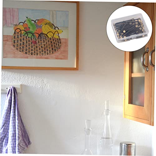 Image of DOITOOL 1Set Boxed Nails for Picture Frames Heavy Duty Photo Frame Fixing Nails Durable Black Frame Hanging Hardware for Wall Mounting and Displaying Photos