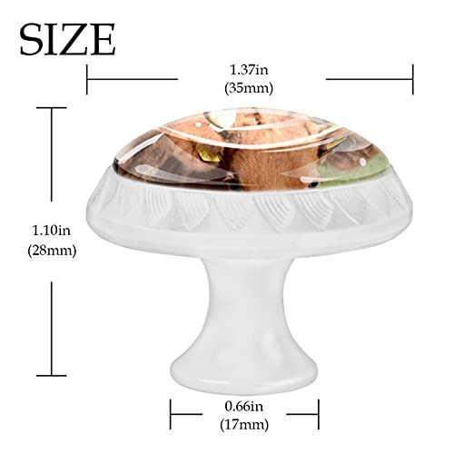 Boutons de cuisine vache pour relooker vos meubles de ranch et commodes rustiques - 5