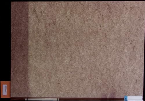 Die Triasfauna der Tessiner Kalkalpen. 25. Die Gattung Saurichthys (Pisces, Actinopterygii) aus der Mittleren Trias des Monte San Giorgio, Kanton Tessin. Volume 108.