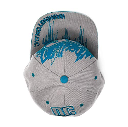 Gorra Snapback Washington DC baseball plana gris/verde miniatura 5