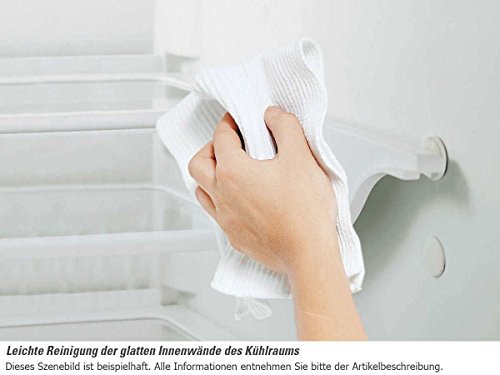 Gorenje RBI 5182 A1 Einbau Kühlschrank Kühlgerät weiß 178 cm FreshZone – Bild 7