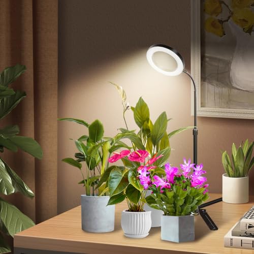 Yeoleh GN-001 Grow Lights For Indoor Plants, 6000K White Led Full Spectrum Gooseneck Plant Lamp With Dimmable & Height Adjustable For Mini Succulent thumb #3