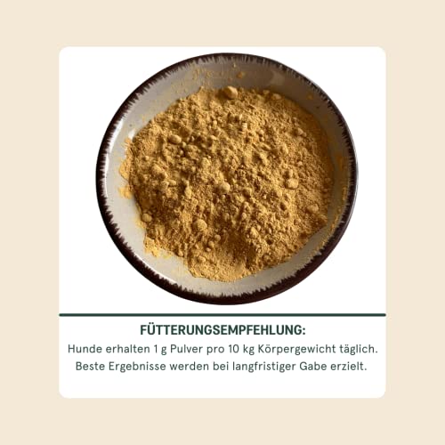 Grünlippmuschelpulver Hund - 100% reines Grünlippmuschelextrakt zur Unterstützung der Gelenke - Neuseeländische Grünlippmuschel als Gelenkpulver für Hunde - Pulver als Futterzusatz hochdosiert