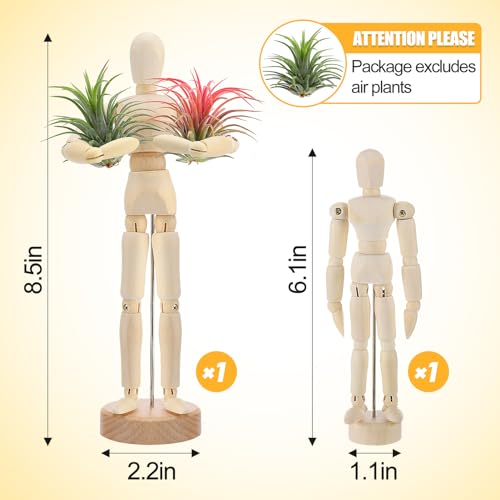 Image of ANPHSIN 2 Sizes Wooden Air Plant Holder, Adjustable Poses, 2 pcs
