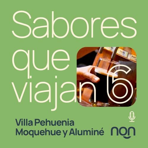 Cap&iacute;tulo 6 &mdash; Villa Pehuenia, Moquehue y Alumin&eacute; Podcast By  cover art