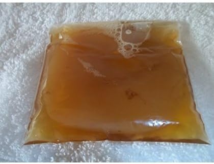 Organic Kombucha Scoby Live Culture Extra Large Scoby with 8 Ounces Starter Tea