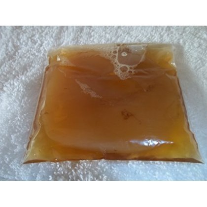 Organic Kombucha Scoby Live Culture Extra Large Scoby with 8 Ounces Starter Tea