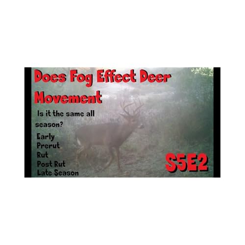 Fog and does it effect deer movement for your hunt s5e2 movie