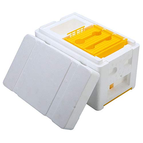 NOLOGO Gxbld-yy Bee Hive Beekeeping King Box Pollination Box Foam Frames Beekeeping Tool Kit (color : Yellow, Size : L)