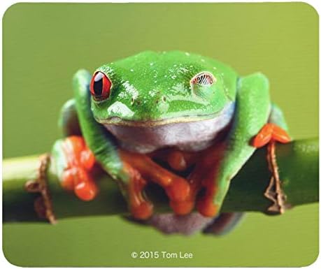 Amazon Co Jp アカメアマガエルのマウスパッド 1 フォトパッド 世界のカエルシリーズ D パソコン 周辺機器