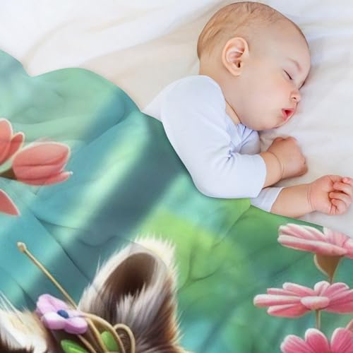Couverture canapé raton laveur flanelle anti-froid jeté de lit doux - 5