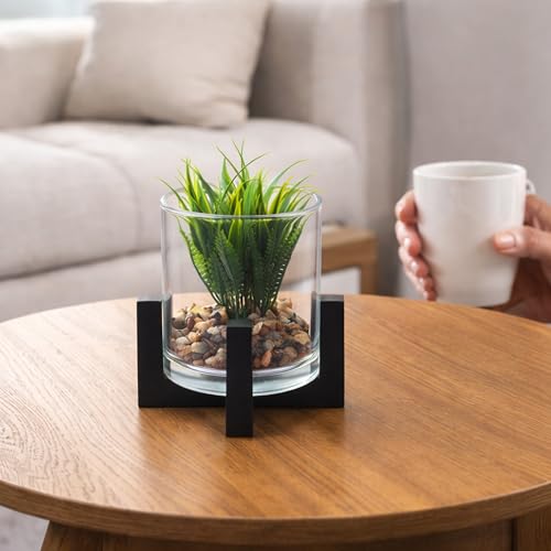 Image of CURATED CART Artificial Plant with Glass Pot for Home Decor, Mini Small Decor Item, Fake Succulent Plant for Office Desk Home Decoration, Pebbles & Wooden Stand Included, 12cm Indoor Decor