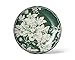 222 Fifth 12-Piece Porcelain Dinnerware Set for 4, White & Sage Green Plates and Bowls Set, Glossy Ceramic Dish Set with Detailed Floral Design, Microwave & Dishwasher Safe Dishes for Dining, Brittany