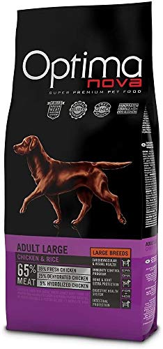 Produktbild von Optimanova Large Adult Huhn & Reis - 2 x 12 kg
