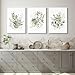 Watercolor Botanical Wall Art Set of 3 Boho Floral Canvas Wall Decor Prints Sage Green Wildflower Wall Art Modern Flower Pictures Botanical Painting for Bedroom Bathroom 24x36 Inch Wrapped Canvas