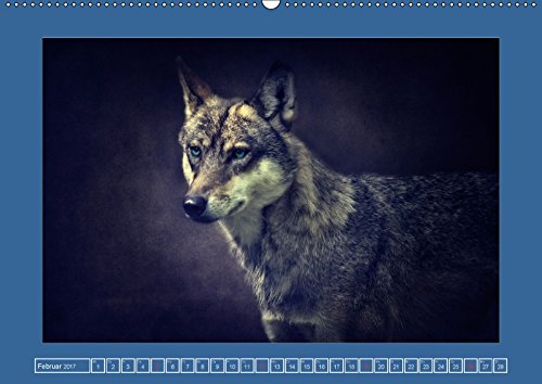 Die schönsten Tierportraits der besonderen Art (Wandkalender 2017 DIN A2 quer): Ausdruckstarke Portraits aus unserer wunderbaren vielfältigen Tierwelt ... Angela und DESIGN Photo + PhotoArt, AD