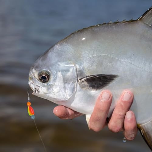 CWSDXM Pompano Rigs para Pesca en Surf con Anzuelos de Círculo Doble y Flotadores 15 piezas miniatura 6