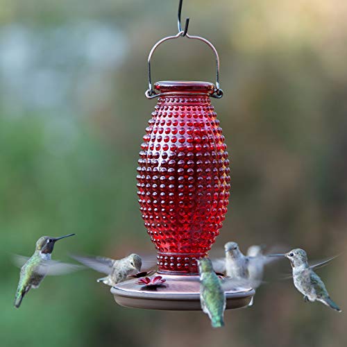 PerkyPet Hummingbird Feeder