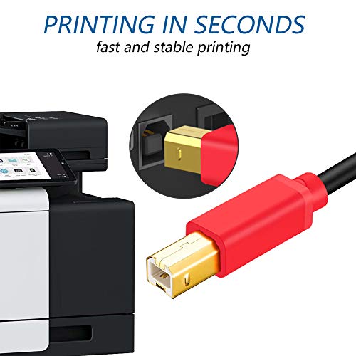 Tan QY Printer Cable 10Ft, USB 2.0 High Speed Gold-Plated Connectors Printer Scanner Cable Cord A Male to B Male for HP, Canon, Lexmark, Dell, Xerox, Samsung etc (10Ft, Red) - Thumbnail 6