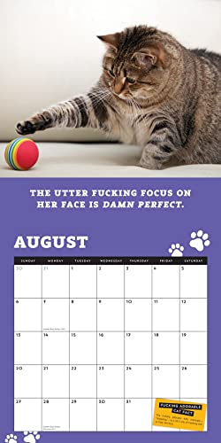 2023 Too F*Cking Cute Cats Wall Calendar: A Year Of D*Mn Adorable Kitties (Funny Monthly Calendar & White Elephant Gag Gift For Cat Lovers) (Calendars & Gifts To Swear By) #TOP5