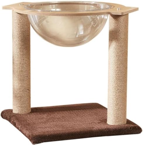 AZIEBAYȃANFJvZؐ ȃXy[X܌L̑NC~Ot[܂Ƃ|Xǧ^LbgnEX