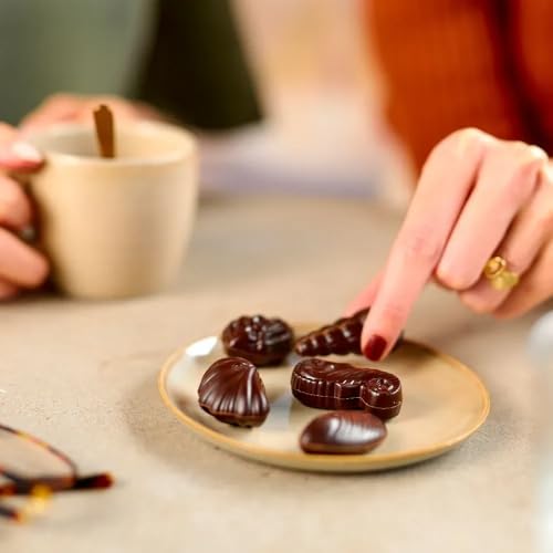 Image of Guylian Belgian Dark Chocolate Seashells, 6 Gourmet Hazelnut Praline Dark Chocolate (72%) Truffles by GuyLian, Dark Chocolate Candy Gift Box for Women and Men, 65g