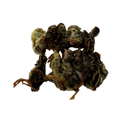 Ⓚ 500g 1 ҋחނ̉a tNẺa ^J̉a